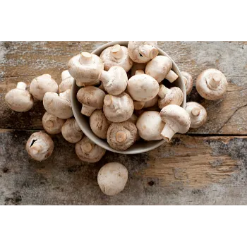 Mushroom (47)-2407287-63873.webp
